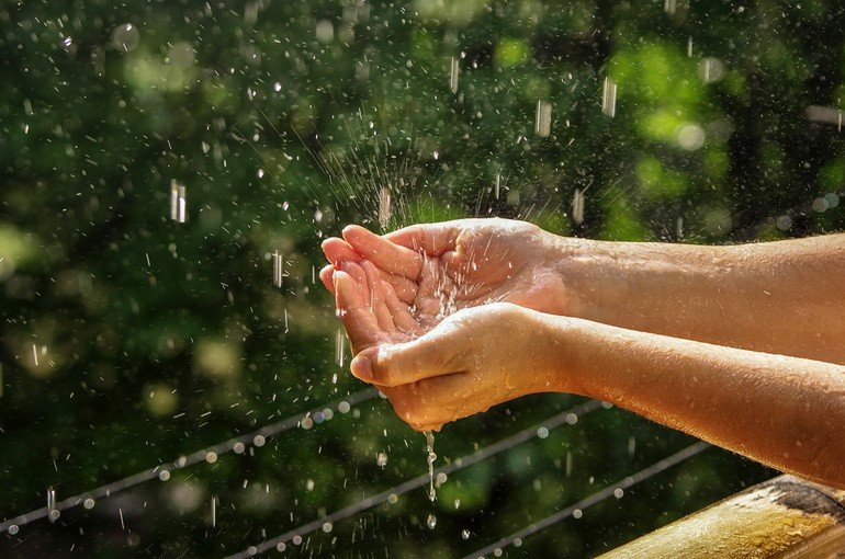 Можно ли пить дождевую воду, и стоит ли это делать?
